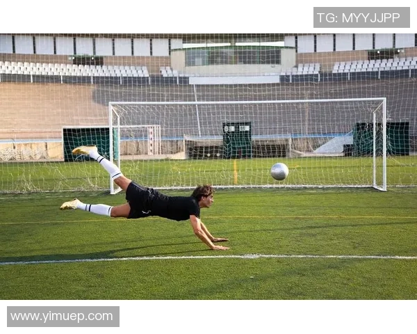 自由足球星落之竞技梦启航未来足球的激情与挑战